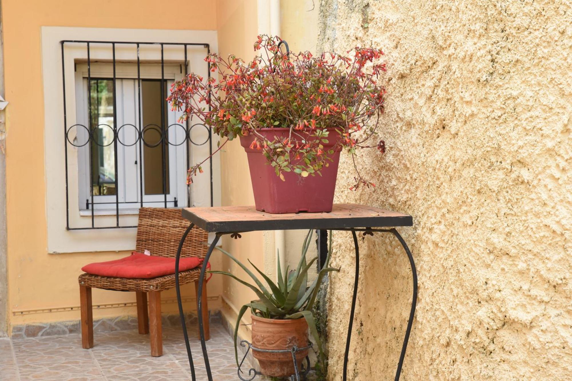 Villa Maxim In Corfu Town Anemomylos Екстер'єр фото